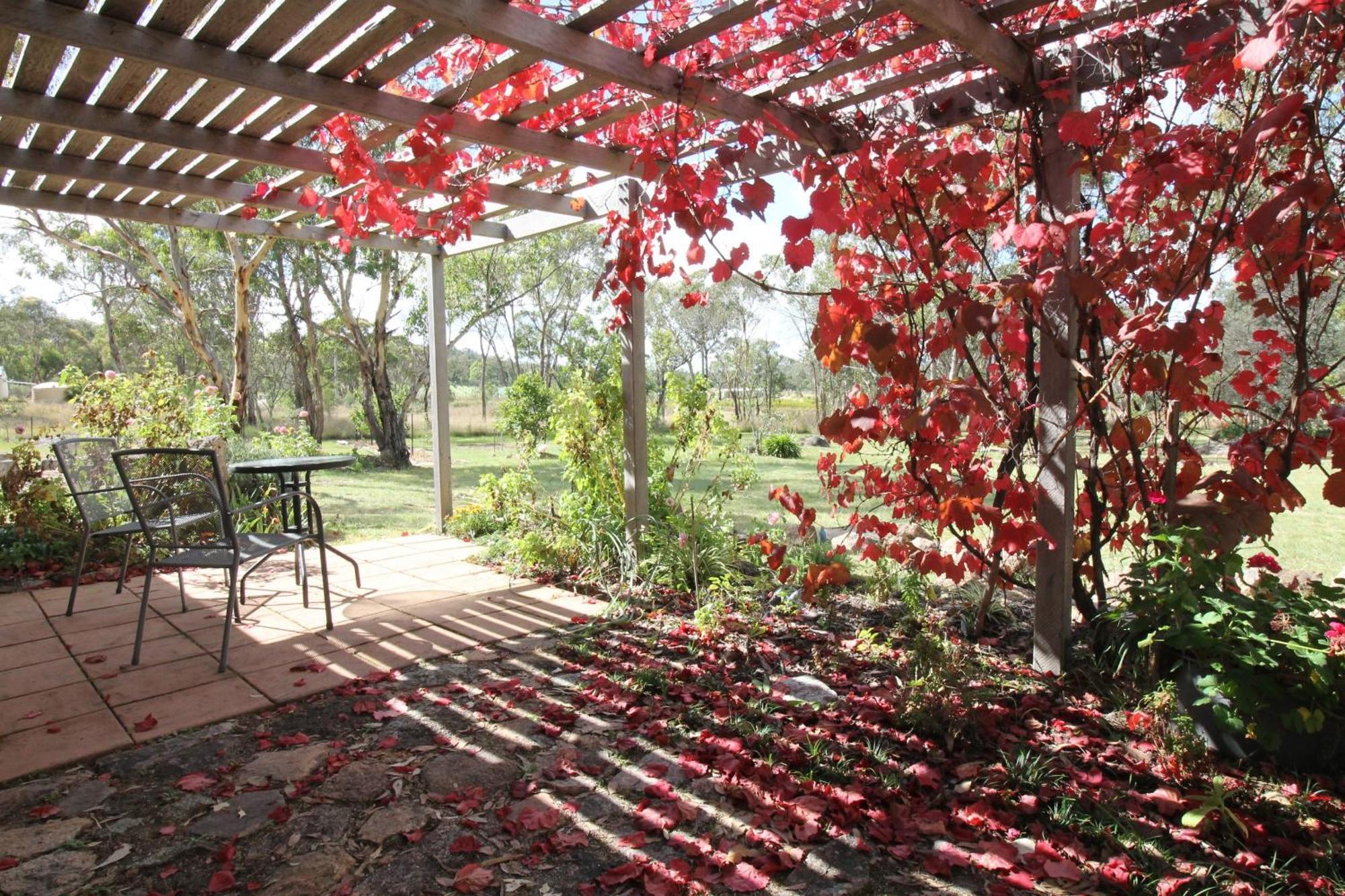 Severn River Cottages Severnlea ภายนอก รูปภาพ