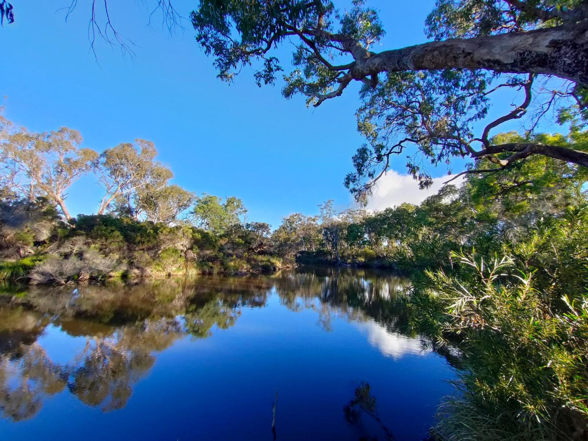 Severn River Cottages Severnlea ภายนอก รูปภาพ